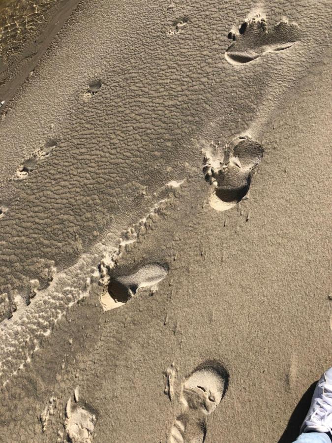 Apartmán Opale Baie Berck Exteriér fotografie